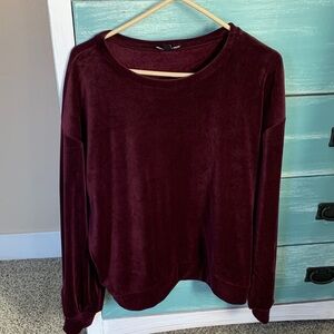 Express Deep Burgundy Velvet Sweatshirt